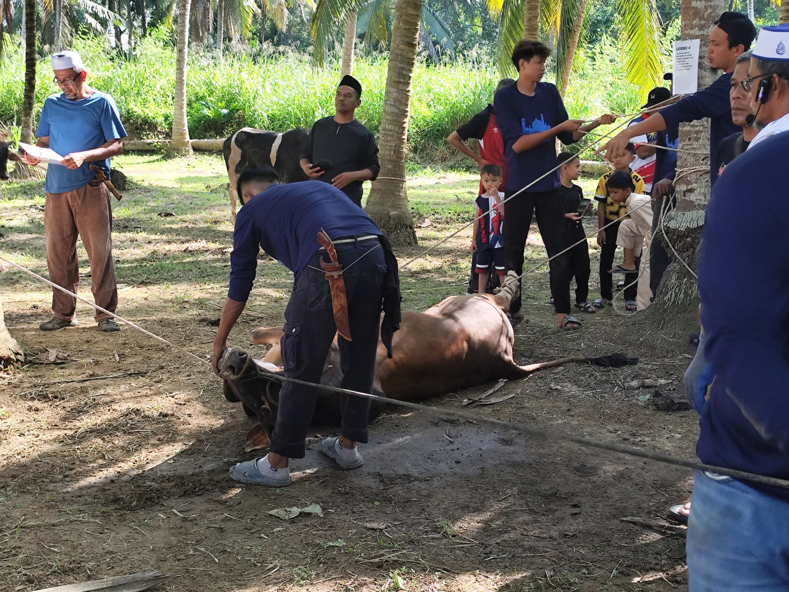 Rakyat Malaysia Sambut Aidiladha Penuh Sederhana Namun Bermakna